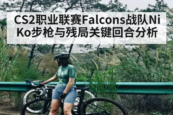 CS2职业联赛Falcons战队NiKo步枪与残局关键回合分析
