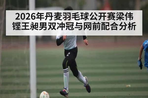 2026年丹麦羽毛球公开赛梁伟铿王昶男双冲冠与网前配合分析